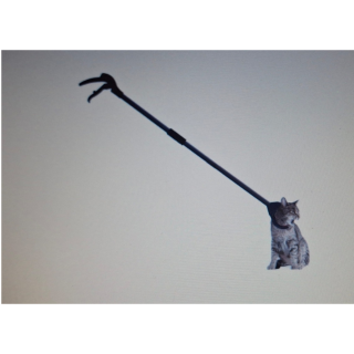 Farmena Kedi Yakalama Kıskacı