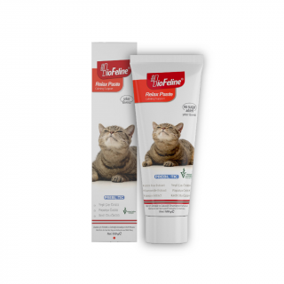 BioFeline Kediler için Rahatlatıcı Etkili Malt Macun 100 gr