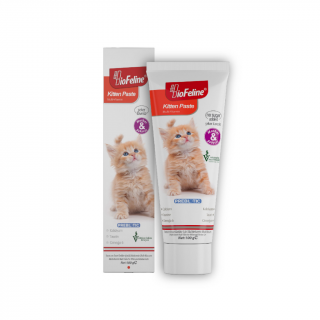 BioFeline Yavru ve Hamile Kediler için Malt Macun 100 gr