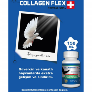 CollagenFlex  Kanatlı Hayvanlar için Probiyotik 150 ml 10'lu Paket