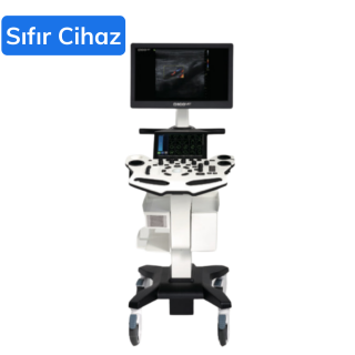VINNO D100 Veteriner Renkli Doppler Ultrason Cihazı