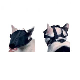 Buster Kedi Ağızlığı