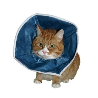 Buster Kedi Yakalık