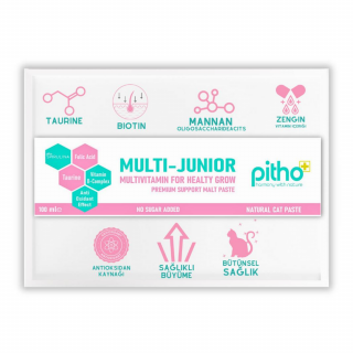 Pitho Yavru Kedi Multivitamin Maltı 100 ml