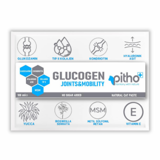 Pitho Glucogen Jel Malt 100 ml