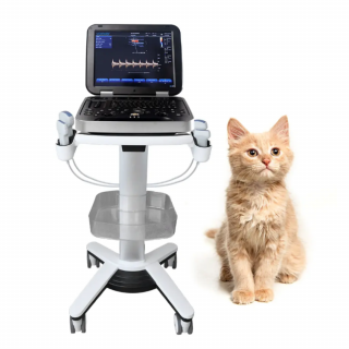 Medel PMS-VL8 Veteriner Renkli Doppler Ultrason Cihazı
