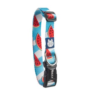 Köpek Boyun Tasması – TOROSLAR Medium