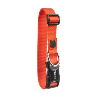 Köpek Boyun Tasması – Orange Medium