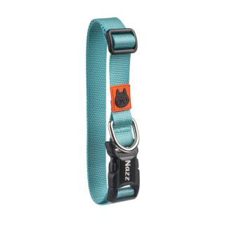 Köpek Boyun Tasması – Turquoise Small