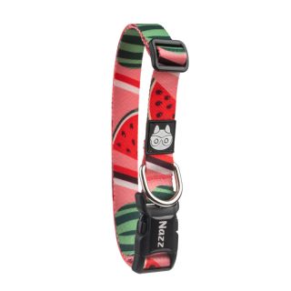 Köpek Boyun Tasması – TOROSLAR 2 Medium