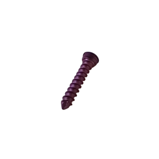 2.0 mm Self Tapping Kilitli Vida 10 mm Boyunda