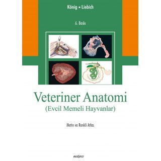 KÖNİG, VETERİNER ANATOMİ (Evcil Memeli Hayvanlar -Metin ve Renkli Atlas-) (2. Türkçe Baskı)