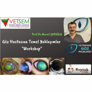 Göz Hastasına Temel Yaklaşımlar(Uygulamalı) "Workshop"