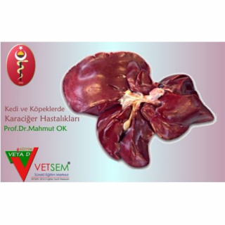 Kedi ve Köpeklerde Karaciğer Hastalıklarına Klinik, Diagnostik ve Tedavisel Yaklaşımlar Prof.Dr.Mahmut OK Ankara