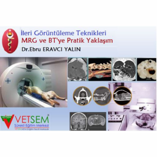 İleri Görüntüleme Teknikleri; MRG ve BT'ye Pratik Yaklaşım Arşt.Gör.Dr.Ebru ERAVCI YALIN