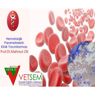 Hematolojik Parametrelerin Klinik Yorumlanması