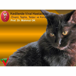 Kedilerde Viral Hastalıklar
