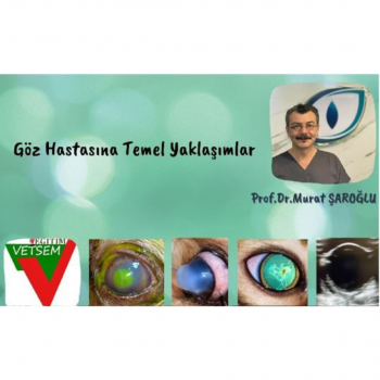 Göz Hastasına Temel Yaklaşımlar