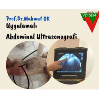 USG Görüntülemede Temel Esaslar ve Uygulamalı Abdominal Ultrasonografi   Prof.Dr.Mahmut OK
