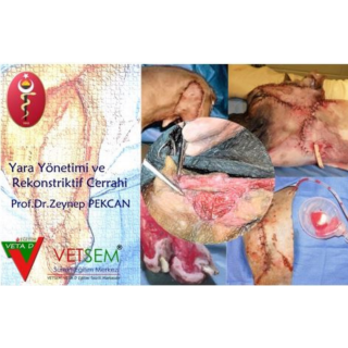 Yara Yönetimi ve Rekonsrüktif Cerrahi