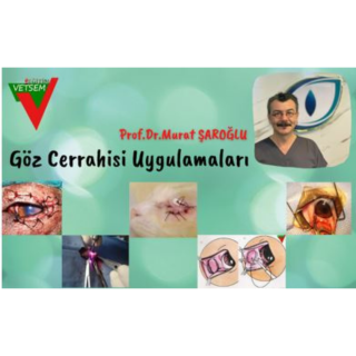 Göz Cerrahi Uygulamaları