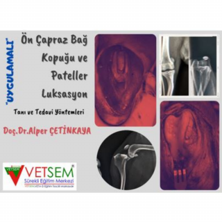 Kedi ve Köpeklerde Ön Çapraz Bağ Kopuğu ve Patellar Luksasyon Tanı ve Tedavisi (Cerrahi Uygulamalı Eğitim)
