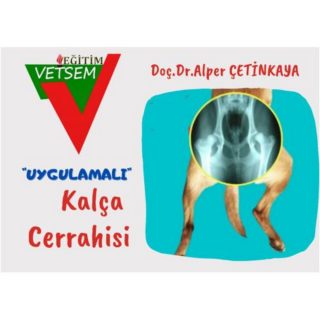Kedi ve Köpeklerde Kalça Cerrahisi Uygulamaları
