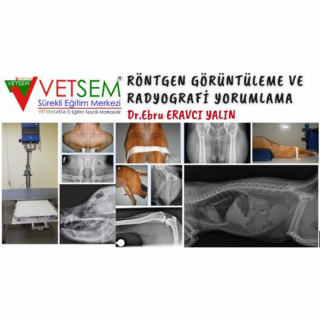 Röntgen Görüntüleme ve Radyografi Yorumlama