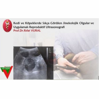 Kedi ve Köpeklerde Sıkca Görülen Jinekolojik Olgular ve Reproduktif Ultrasonografi Workshop
