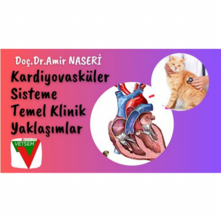 Kardiyovasküler Sisteme Temel Klinik Yaklaşımlar