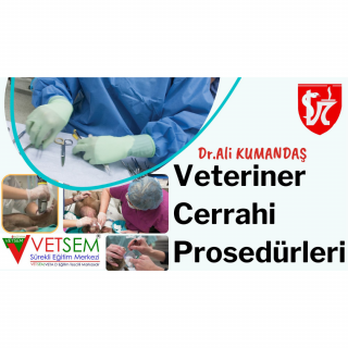 Veteriner Cerrahi Prosedürleri ve Yardımcı Sağlık Personelinin Rolü Dr.Ali KUMANDAŞ