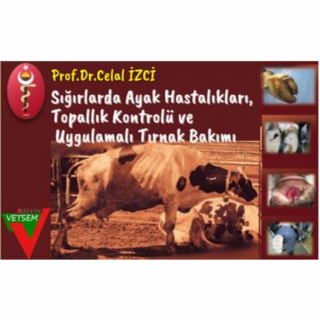 Süt Sığırlarında Ayak Hastalıklarına Güncel Yaklaşımlar, Topallık Kontrolü  ve Uygulamalı Tırnak Bakımı