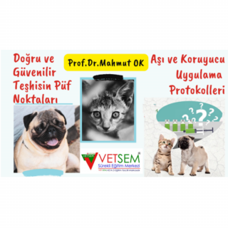 Küçük Hayvanlarda Doğru ve Güvenilir Teşhis İçin Püf Noktaları (Aşı ve Koruyucu Uygulama Protokolleri)