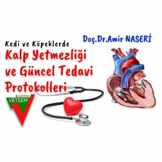 Kedi ve Köpeklerde Kalp Yetmezliği ve Güncel Tedavi Protokolleri