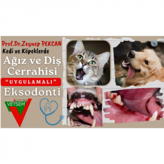 Kedi ve Köpeklerde Ağız-Diş Cerrahisi ve Uygulamalı Eksodonti