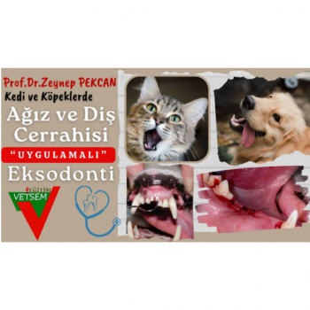 Kedi ve Köpeklerde Ağız-Diş Cerrahisi ve Uygulamalı Eksodonti