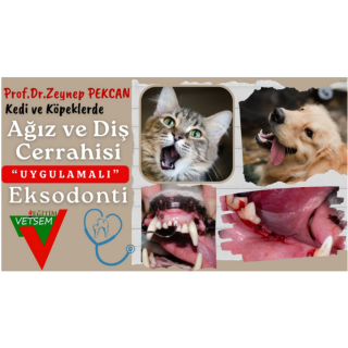 Kedi ve Köpeklerde Ağız-Diş Cerrahisi ve Uygulamalı Eksodonti (Cerrahi Uygulamalı Eğitim)