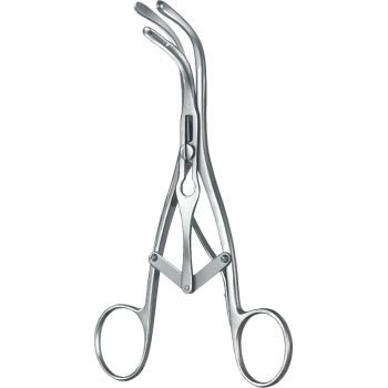 Laborde 3 lü Ekartör Paslanmaz Çelik 14 cm