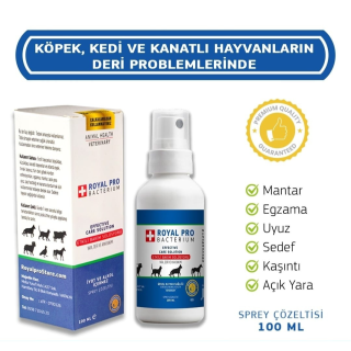Royal Pro Deri Bakım Solüsyonu 100 ml 5 Kutu