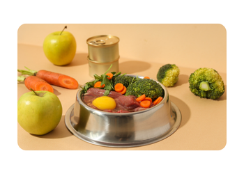 Pet Vitaminleri